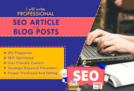 write professional blog articles