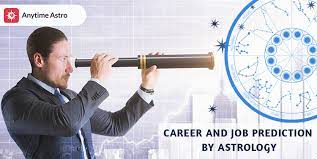 career consultation astrology