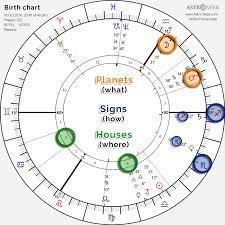 full zodiac chart analysis